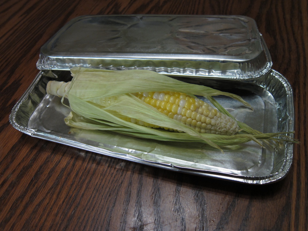 Baked or broiled corn on the cob sandwiched between tinfoil trays